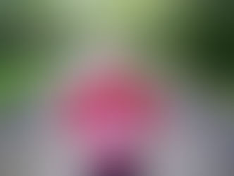 Endurance is a leadership discipline: What 250 marathons teach us about sustained performance