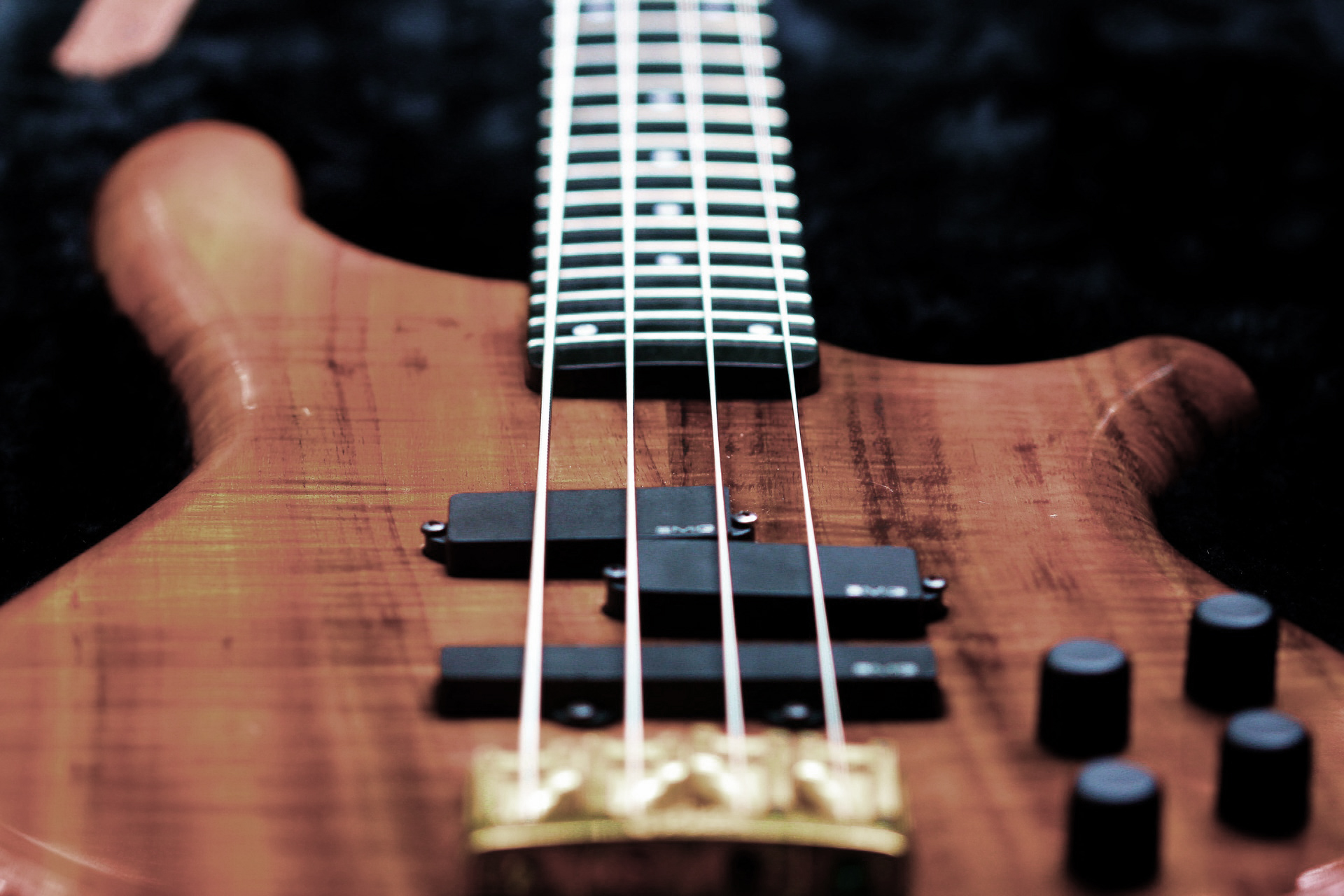 BASS GUITARS