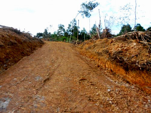Farm Road Construction