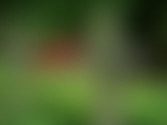 All Souls Day, - Cycle C