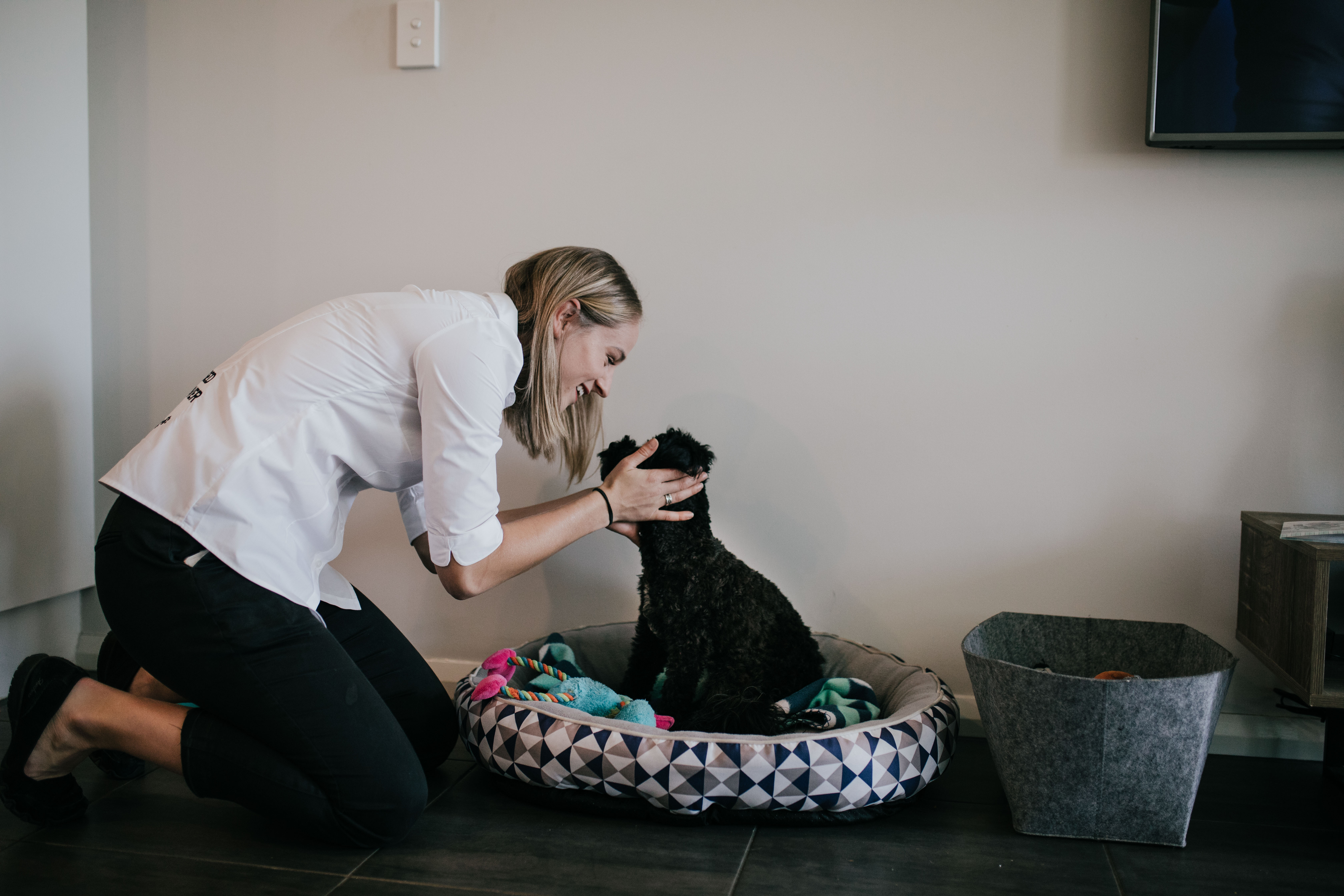 Premium Pet Services Pawz & Me Camden Macarthur