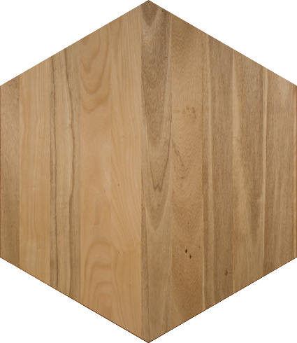 QUEENSLAND SILVER ASH