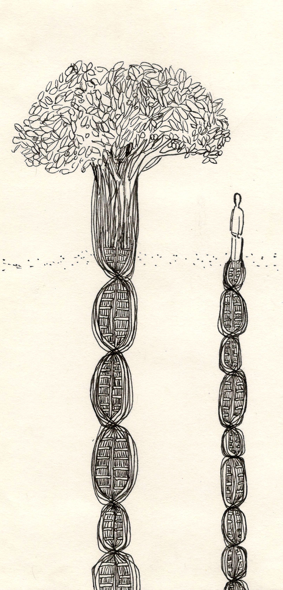 dibujo 1 2