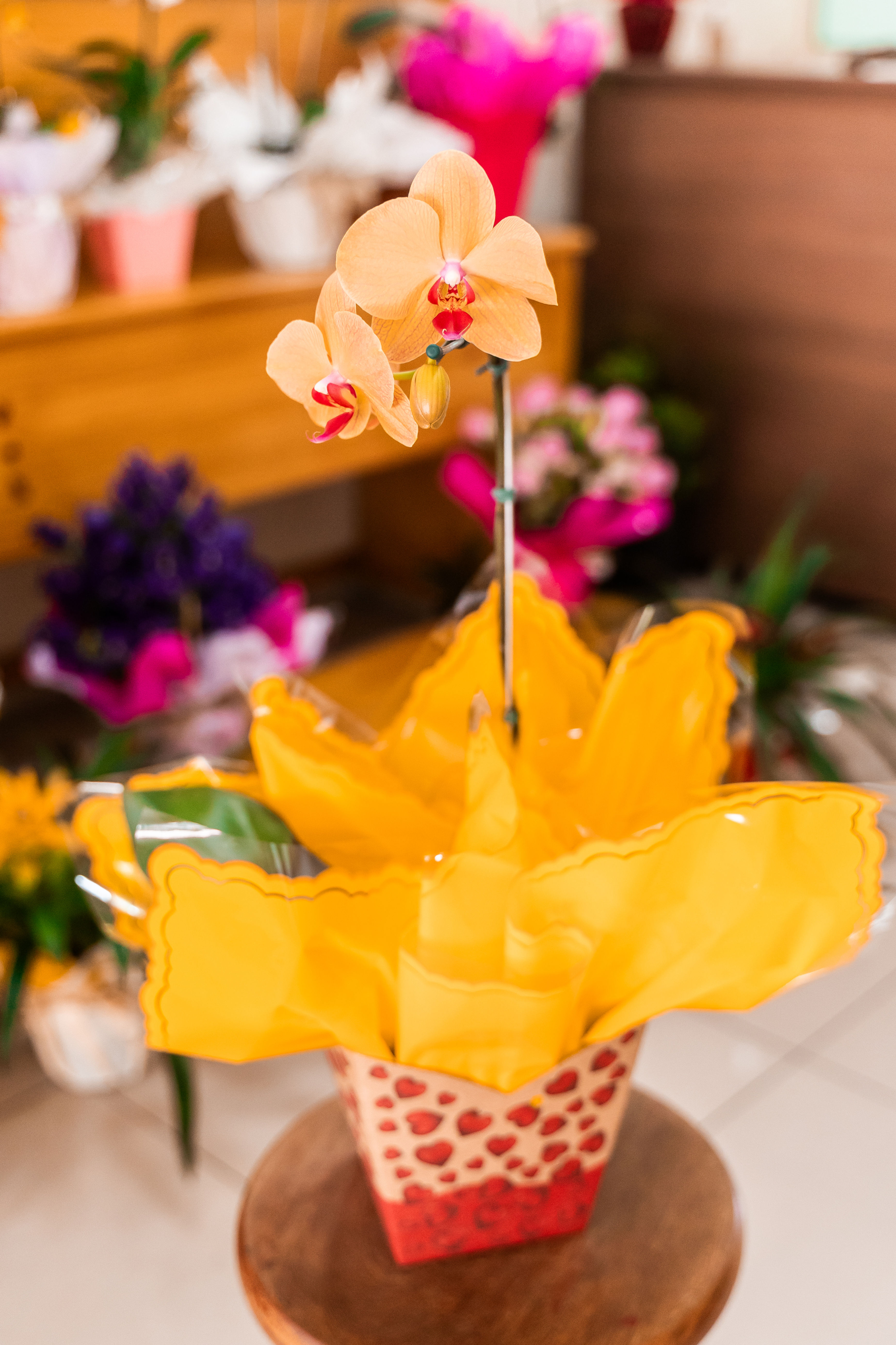 Vaso Orquídea Grande Laranja