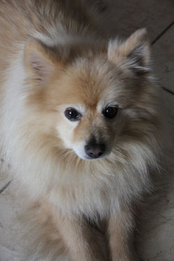 491837917_1081340297370292_8281684615640501878_n