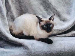 486262708_1063347275836261_4092146800666763898_n