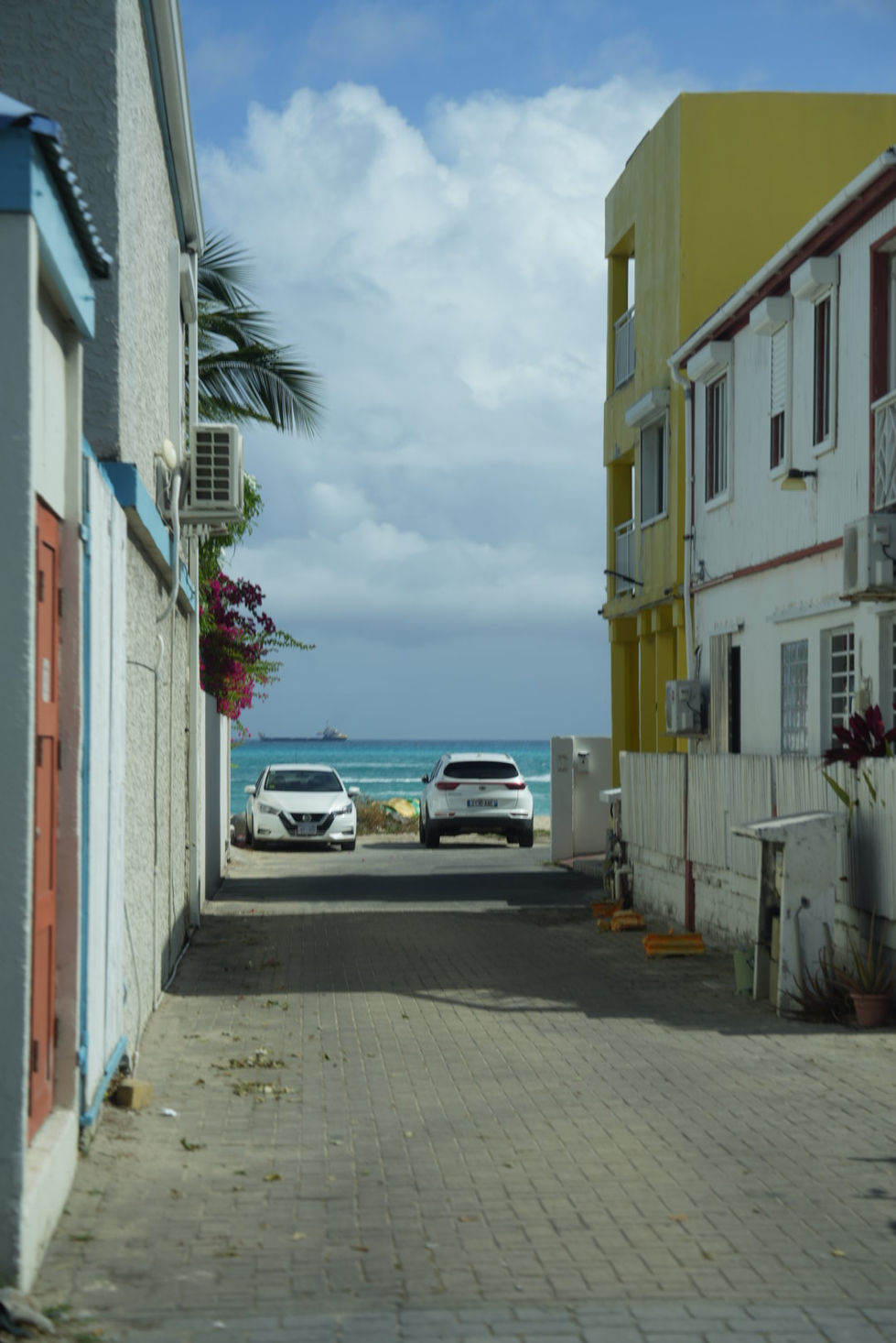 DSC02283