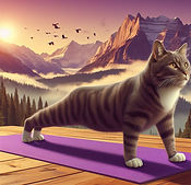 Core Yoga Planke.jpeg