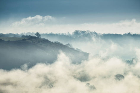 Should have gone black and white