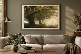 Fine art print.png