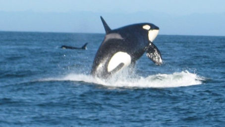 My Photographic Journey