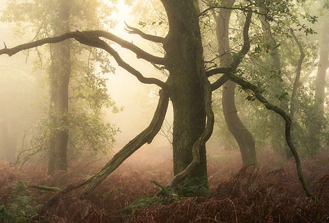 Ghostbusting