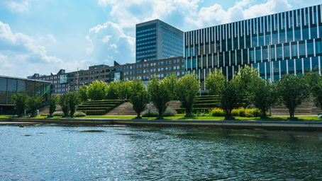 Mehmet'in Rotterdam Deneyimi