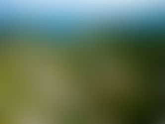 Vancouver'da Exchange