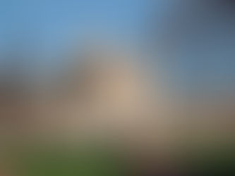 St. Louis'de Exchange