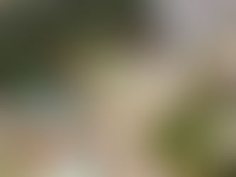 Hong Kong'da Exchange