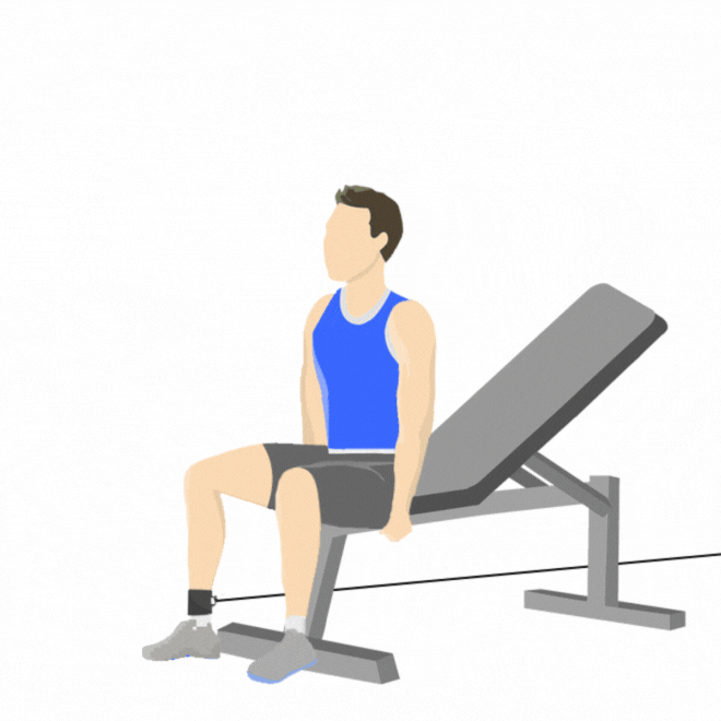 SINGLE LEG EXTENSION