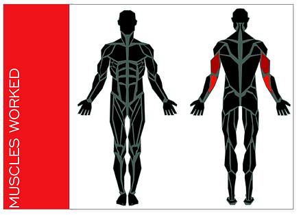 TRICEP PRESS.png