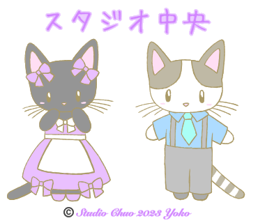 IMG_1862 - コピー