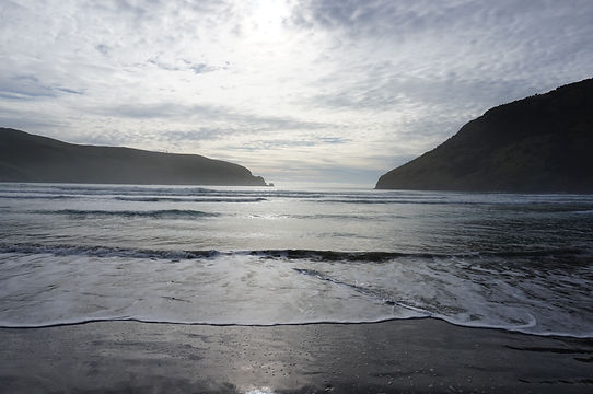 DSC05514.JPG