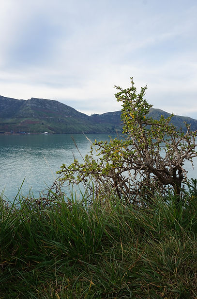 DSC05402.JPG