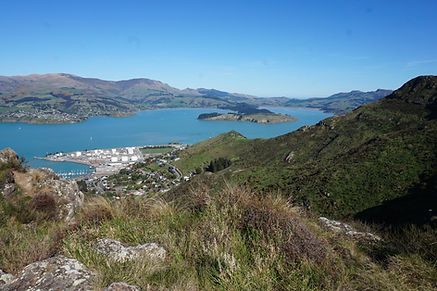 DSC05428.JPG