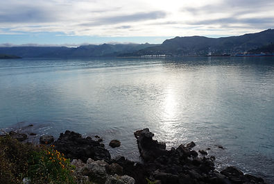 DSC05398.JPG