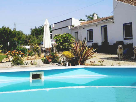 Alentejo com Amor: Uma História de Paixão e Renovação