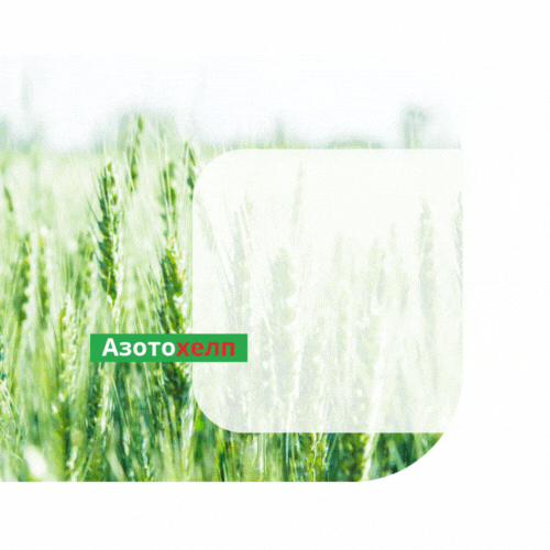 азотохелп.gif