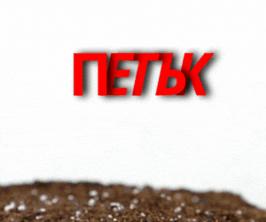 _Black Friday  (300 x 250 пиксела) (1).gif