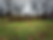 image of lawn that needs treatment