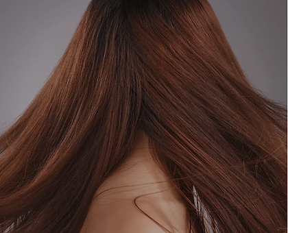 Screenshot 2025-06-17 120700.png