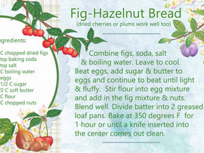 You can change this delicious Fig and Hazelnut Bread recipe made with Myrtle Creek Organic Red Fife Wheat Flour to reflect the seasons by swapping the dried figs for other dried fruits such as dried cherries or plums.