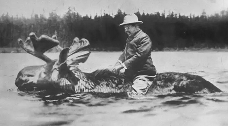 fake photograph of Roosevelt rising a moose