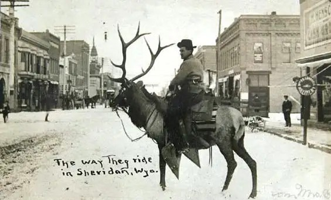 Sepia postcard of a man riding an elk