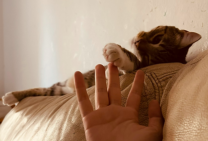 Captura de pantalla 2025-11-17 100859.png