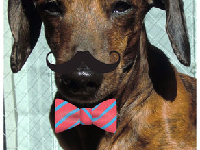 まさお日記　25～大スターの歌はいいぞ