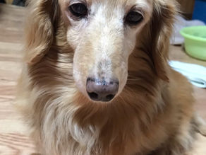 お友達写真館 File　10