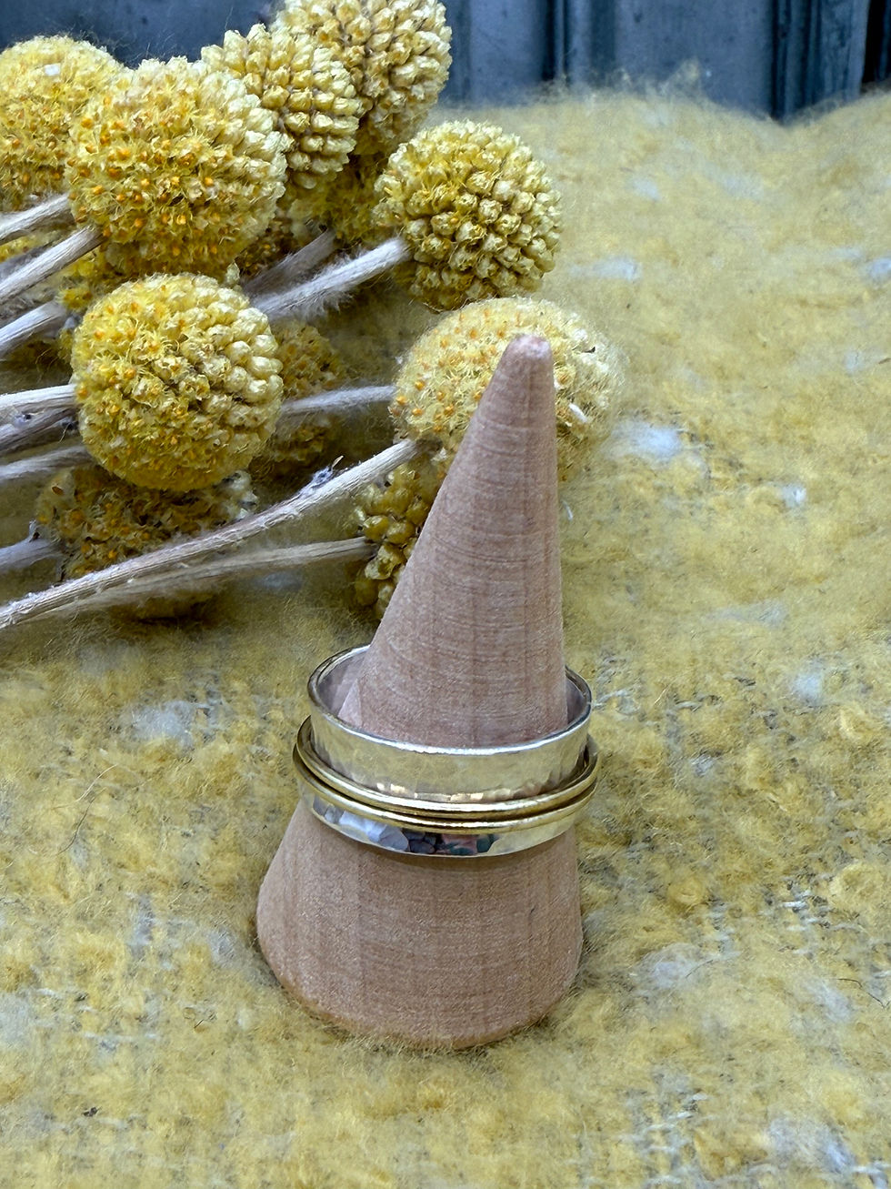 Thumbnail: Silver spinner ring with 2 thin brass ring