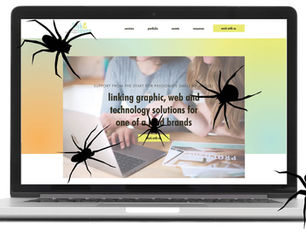 Computer screen image with spiders over Link & Layer's website. 