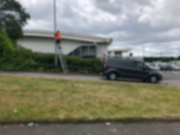 IMG_1919.jpeg