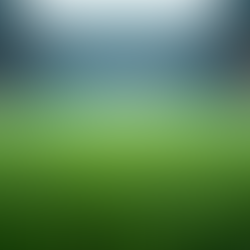 Experience Top-Quality Indoor Turf Rental Today