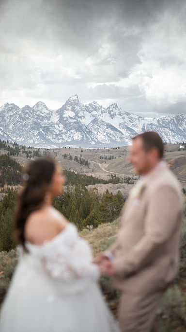 The Wedding Tree in Jackson Hole, Wyoming. Everything You Need to Know