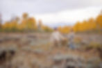 Midway Utah Engagement Photos