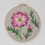 Thumbnail: Felted Cosmos Flower Felted Kit