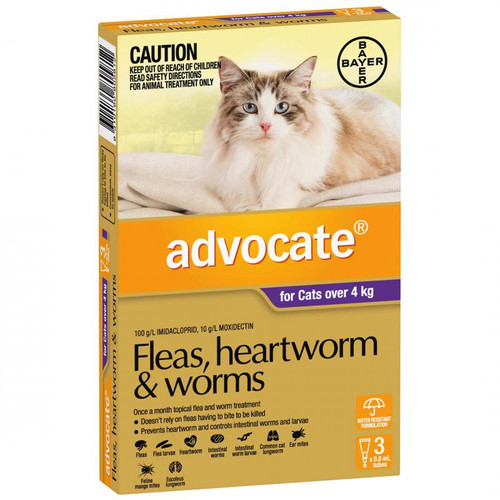 Advocate Flea & Worm Treatment >4kg Cat cpls