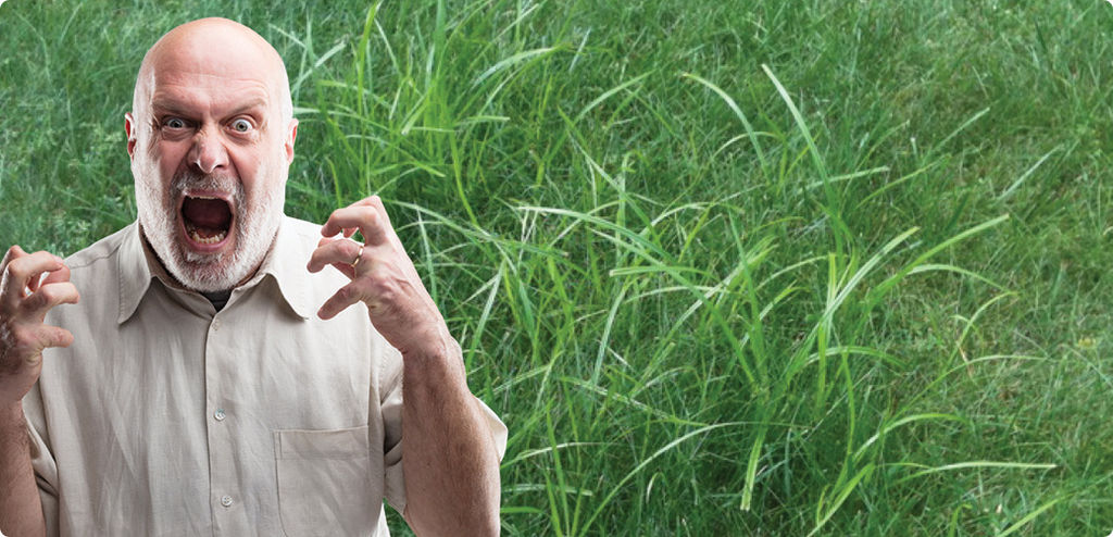 Landscaping Supplies - Pet, Garden, Pool, Caloundra Little Mountain