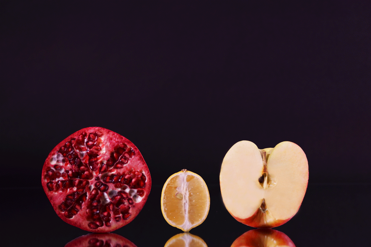 final_fruit.gif