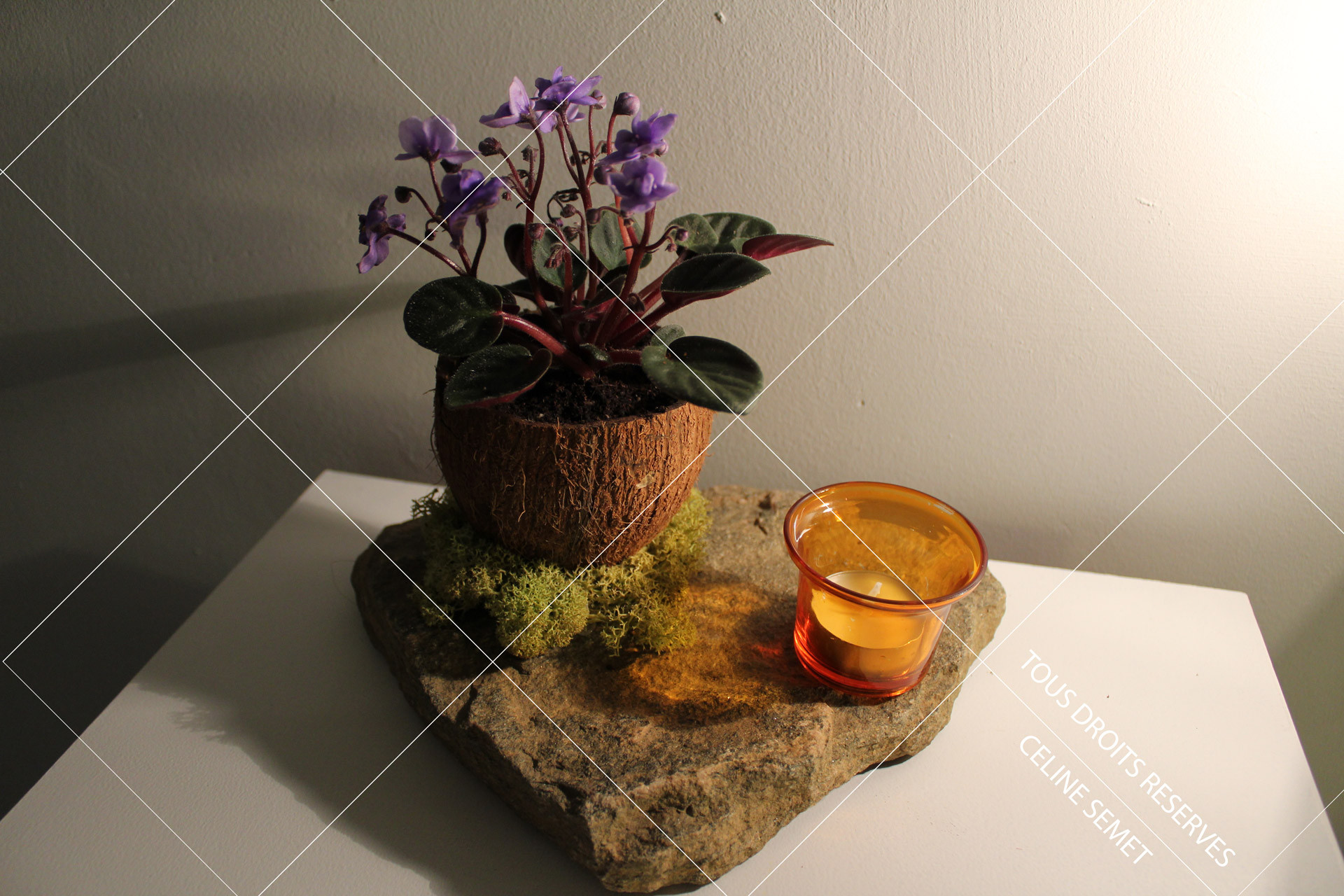 Composition florale