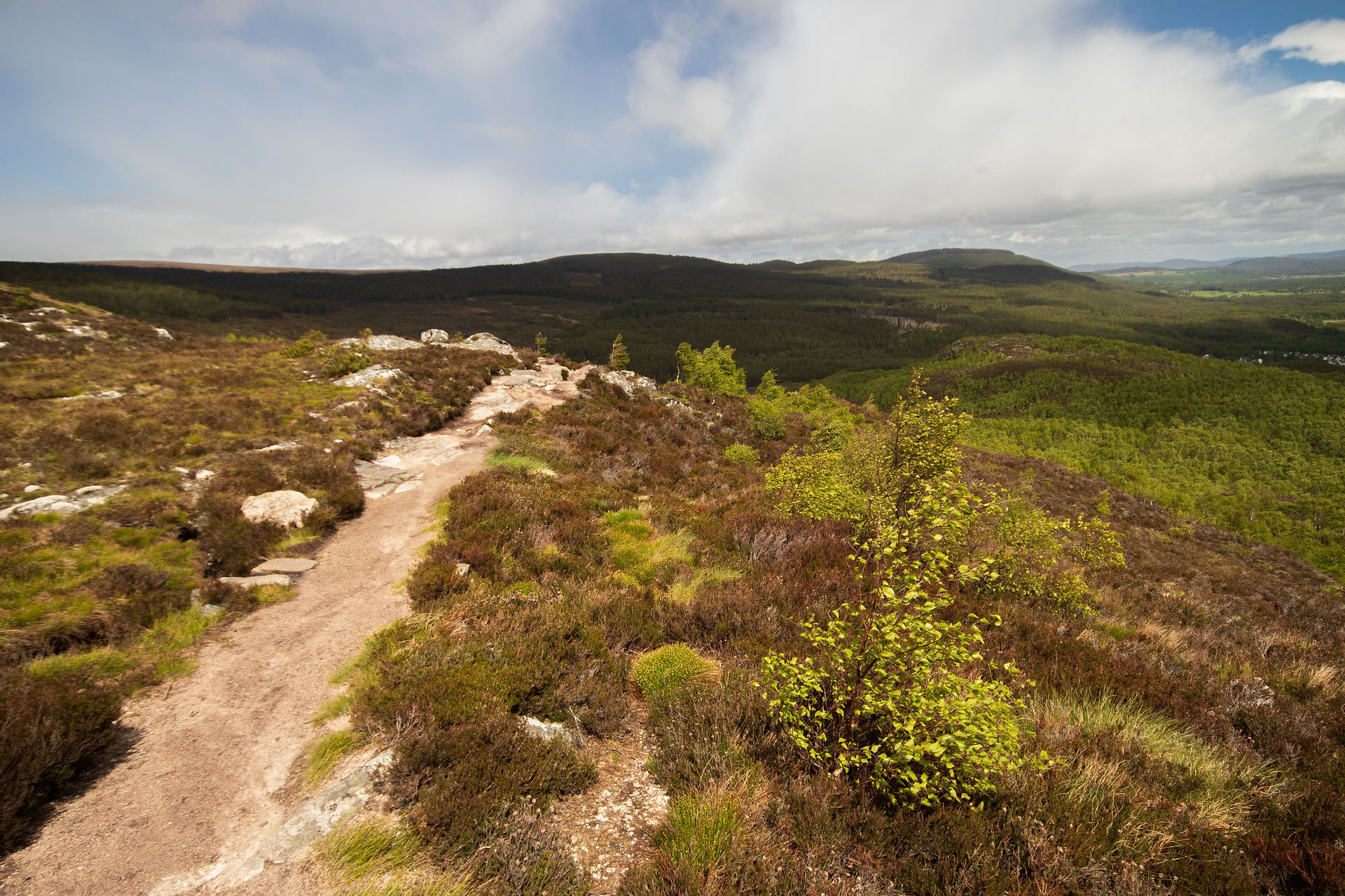 Looking down Craigellachie 